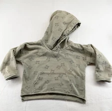 Rylee Cru blue frog fox hoodie  pullover sweatshirt 12-18m