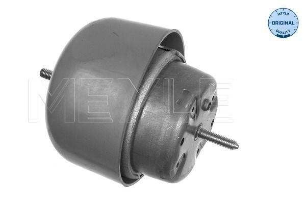 Meyle 100 199 0048 Lagerung, Motor FüR Audi Skoda VW-image