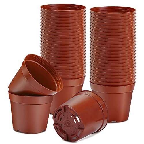 Muzhira Pots for Seed Starting/Cuttings,  Assorted sizes , colors
