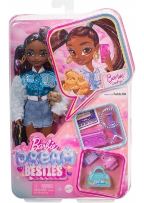 BARBIE DREAM BESTIES DOLL Brooklyn Fashion Doll with Accessories