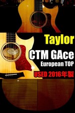 Guitarra acústica Taylor Custom Gace -EUROPEAN TOP- '16 usada 2016