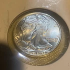 Silver - 1/4 oz Walking Liberty Round