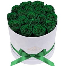 Prifroti 17 Flowers in a Luxury Suede Box, Birthday Gifts 17 Roses Dark Geen