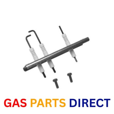 Worcester Bosch Elektrodensatz - 8716121817