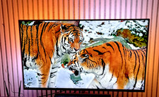Philips Ambilight 43PUS9235/12 – 43 Zoll 4K UHD Smart TV – Bowers & Wilkins