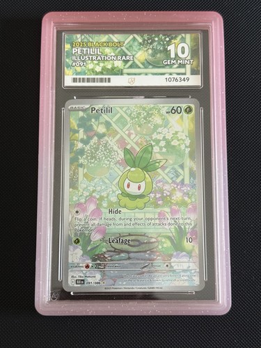 Petilil graded ACE 10 for sale on eBay