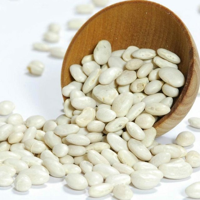 Great Northern White Beans 15oz 5lbs Free Shipping eBay