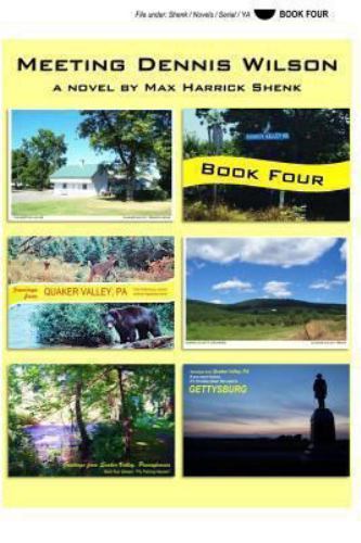 Meeting Dennis Wilson: Book Four by Max Shenk (2013, Trade Paperback ...