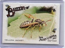 2024 Topps Allen & Ginter #BUZ-13 Yellow Jacket Buzzin'