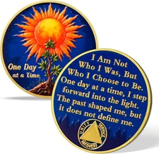 Sobriety Coin One Day at a Time Medallion with Sun and Tree Design, 0 Year 