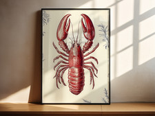 Red Lobster Illustration With Floral Accents Wall Art Print