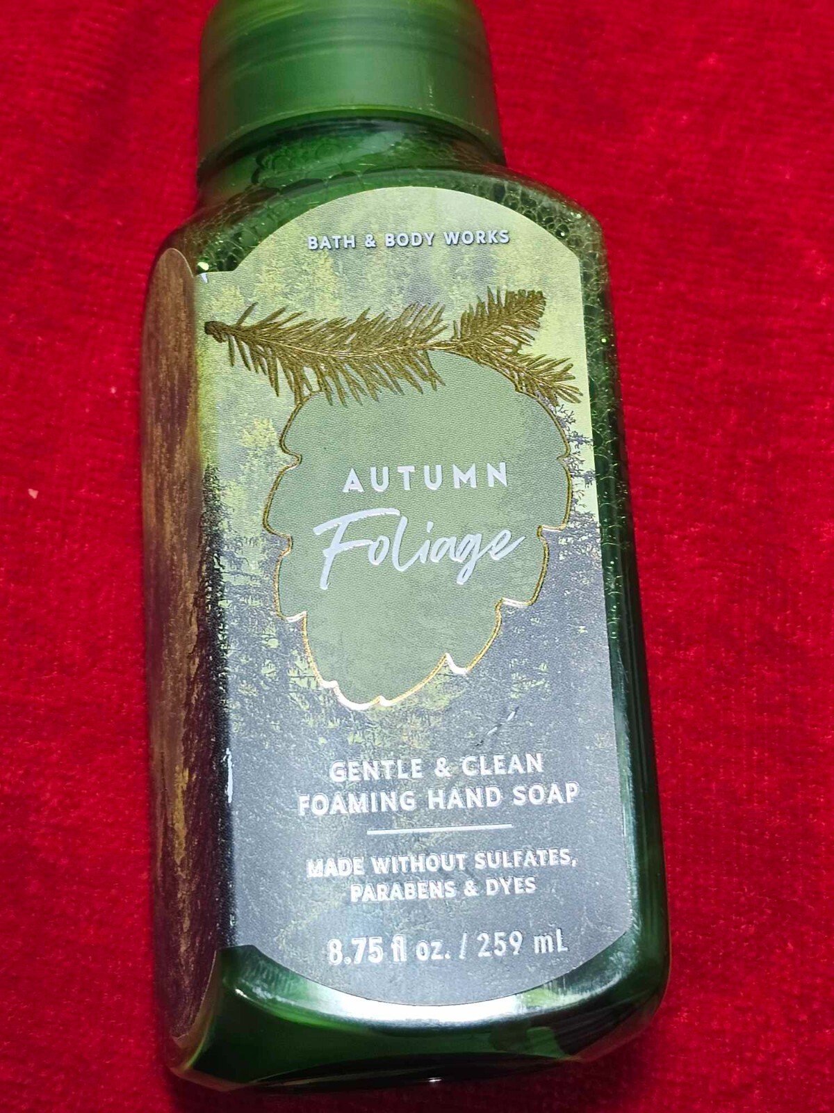 BATH AND BODY WORKS FOAMING HAND SOAP eBay