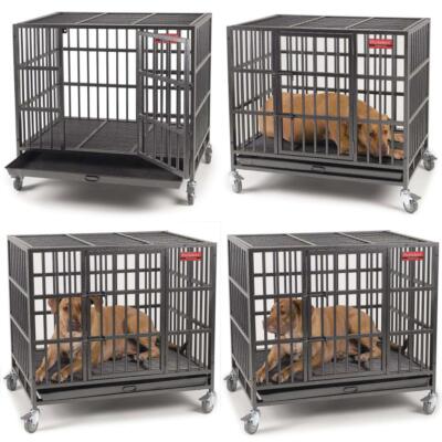 Steel Cage Proselect Empire Dog Cage Medium Pro Select Kennel