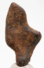 NWA 859 TAZA Iron Meteorite Specimen Space Rock Natural Patina NORTHWEST AFRICA