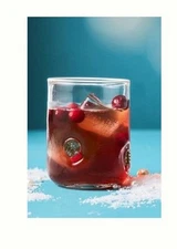 Anthropologie Festive Icon Juice Glass Snow Globe!