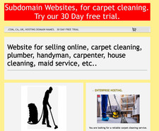 Carpet cleaning business, need a website, more clients, hosting, subdomain