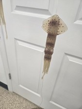 9 INCH- 16 BROWN SQUID SPREADER BAR FOR FISHING