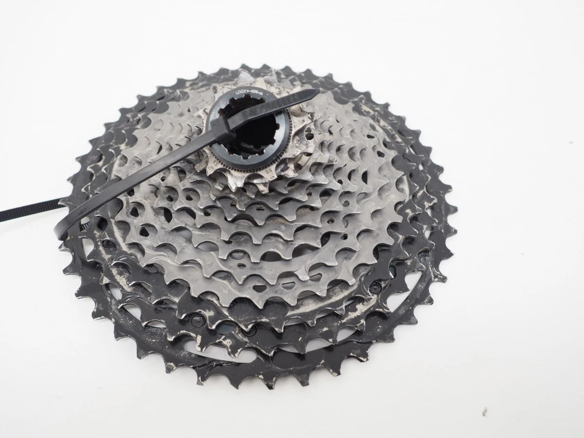 Cassette XLC 10 Vitesses 12-26 Dents – Compatible Campagnolo – Neuve