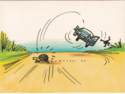 6x4 Kontinentalformat gedruckte Postkarte Bumpy Ride Silvey Jex Schildkröte Athene
