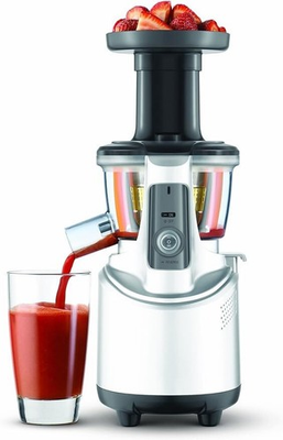 #ad Breville BJS600XL Fountain Crush Masticating Slow Juicer Vertical SILVER 240w $249.00