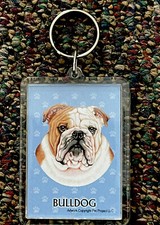 Acrylic Bull Dog Keyring Keychain
