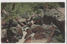 VTG 1913 Postcard, A Popular Trout Brook in Winchester, NH, Parcel Post Stamp