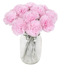IPOPU Pink Carnations Artificial Flowers,16PCS Fake Carnation Flowers Artific...