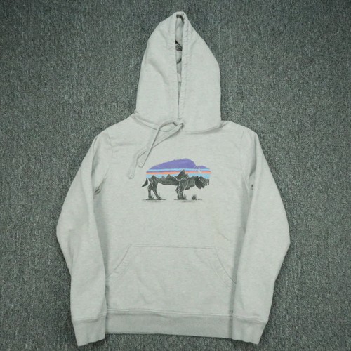Patagonia Hoodie Mens Medium Gray Fitz Roy Bison Fitz Bison Pullover Hiking