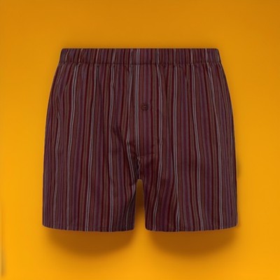 $60 NEW HANRO OF SWITZERLAND Men s Luxury Cotton Boxers Size S Waist 30-32