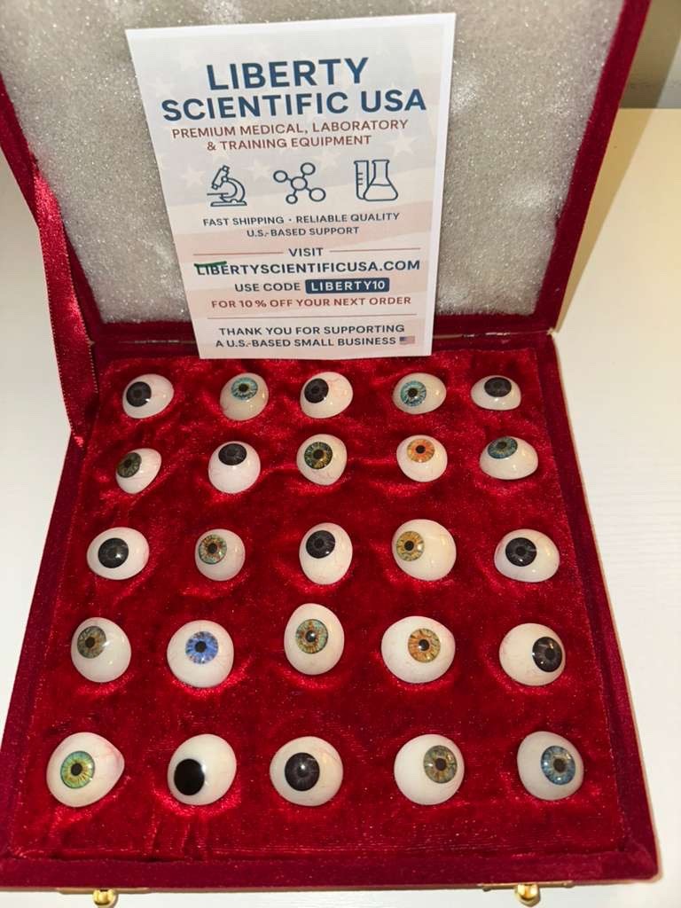 50 pc mix Human Prosthetic Eyes all different Size SHIP from USA