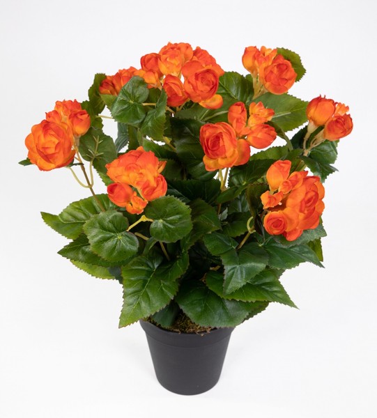Begonie 38Cm Orange Im Topf Lm Kunstpflanzen KüNstliche Pflanze Kunstblume-image