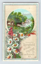Household Sewing Machine Cattle Daisy 1890s Victorian Trade Card 2.5" x 4.5"