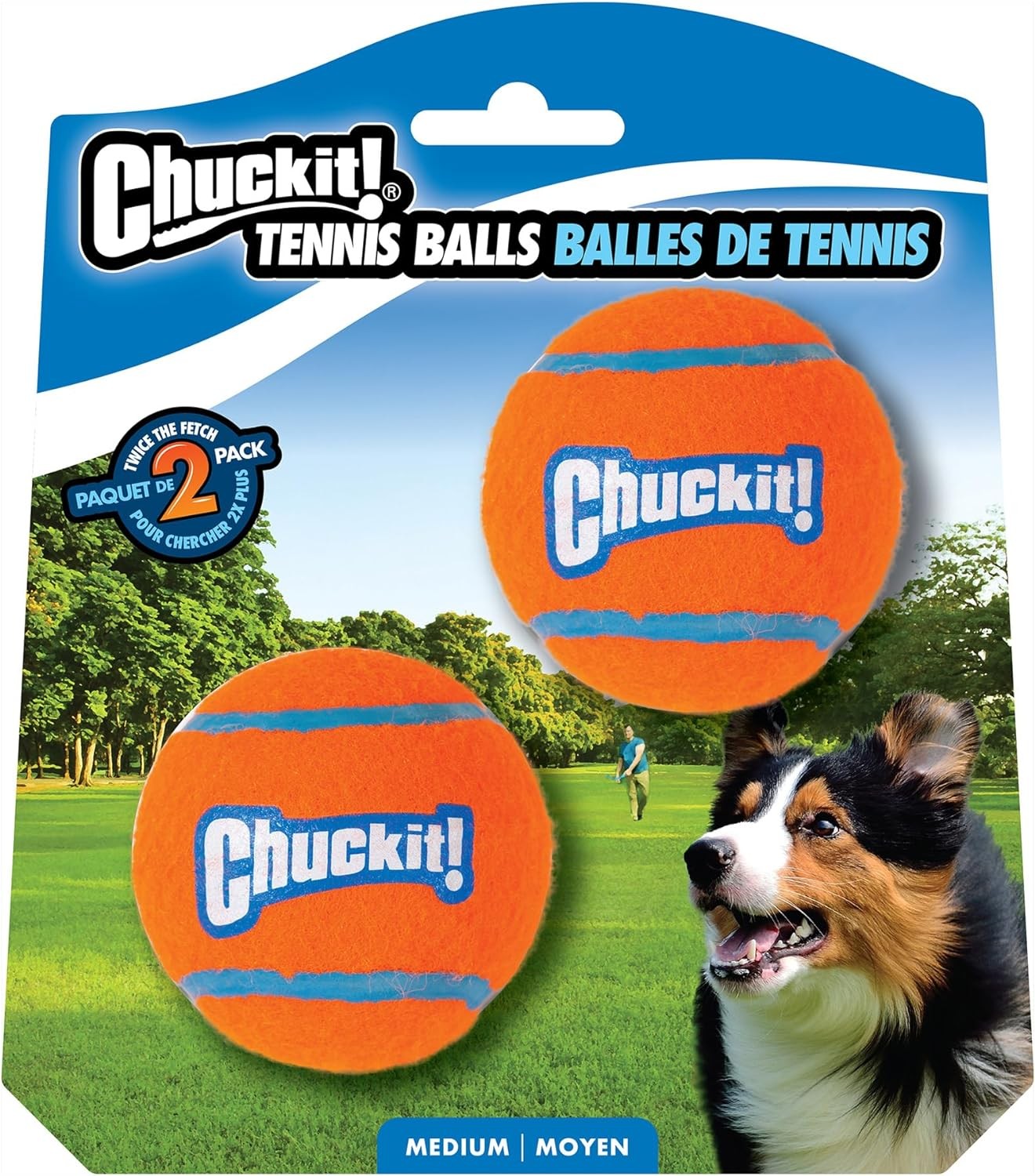 ChuckIt Tennis Balls for Fetch and Interactive Play Medium D