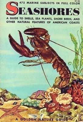 SEASHORES A GUIDE TO ANIMALS AND PLANTS ALONG THE BEACHES