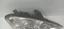 Bild 3 von 10