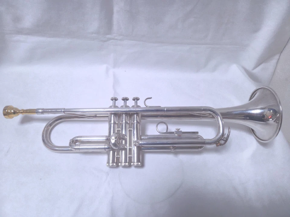 Trompeta Yamaha YTR-1310 con estuche rígido ideal para estudiantes principiantes #2324 Foto 4 de 4