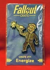 Fallout Crate ~ # 11 ~ Energize Pin ~ Bethesda / Loot Crate ~ New!