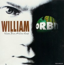 William Orbit &ndash; Water From A Vine Leaf 5-Trk US CD Single 1994
