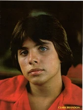 Clark Brandon pinup Robby Benson article Super Stars magazine clipping cutting