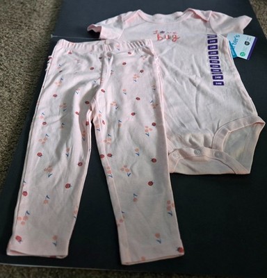 Baby Love Bug Outfit with Flowers and Lady Bugs 3-piece 24M