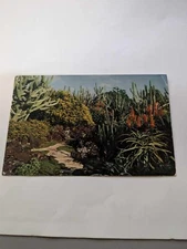 Moir's Pa'u a Laka Gardens Koloa Kaui Vintage Postcard Cactus Walkway
