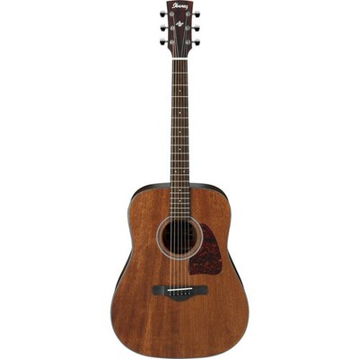 Ibanez Artwood Series AW54 Acoustic Guitar, Open Pore Natural