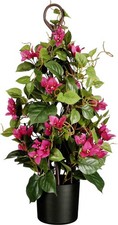 Mica Decorations Bougainvillea im Topf Ø 30 x 60 cm fuchsia  Zimmerpflanzen
