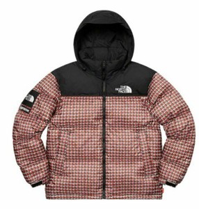 the north face spring coat