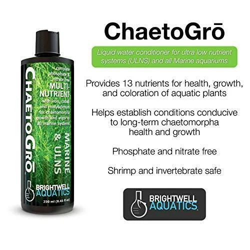 Brightwell Aquatics Chaeto GRO - Suplemento multinutriente para Chaetomorpha Foto 2 de 3