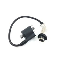 ZÜNdspule Euro 4 ZÜNdkabel Kerzenstecker Znen Agm Retro Classic China Roller Rex
