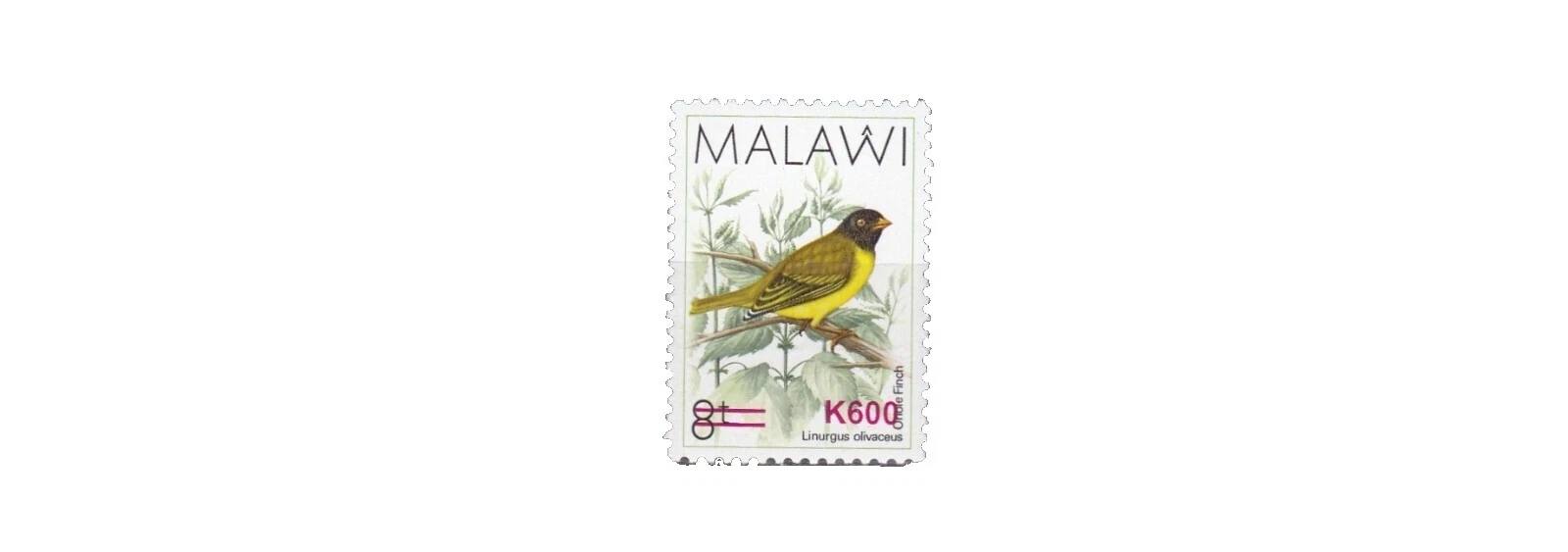 Mint Never Hinged/MNH Birds Malawian Stamps (1964-Now)