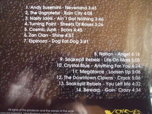 Various (Rock Hard Records) Rock Hard Presents Voices Rock (CD)