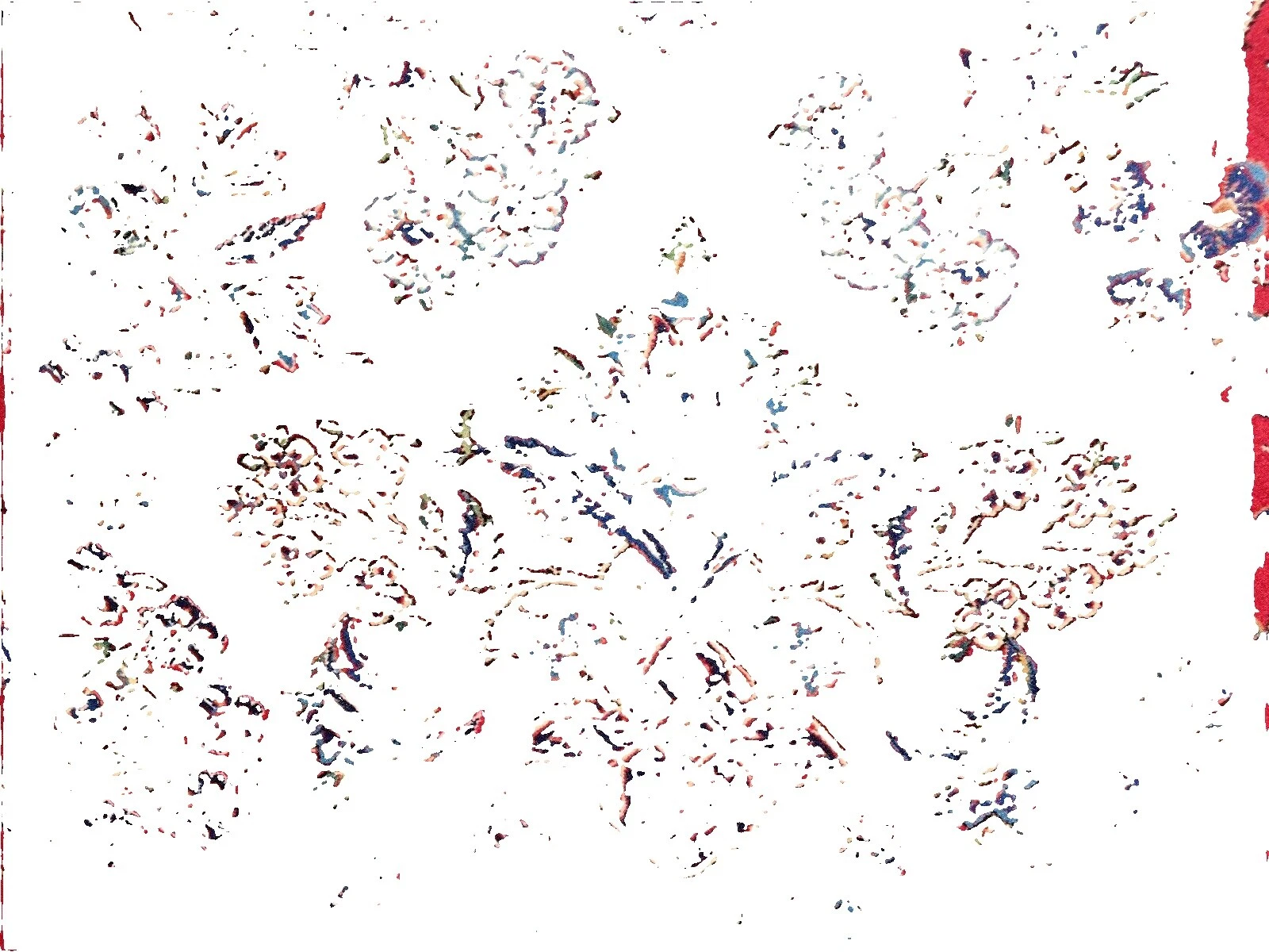 Kashan Floral 100% Lana Alfombras y Tapetes antiguos