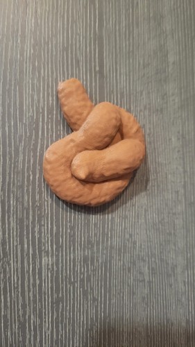 Fake Plastic Poo: 3D Printed From PLA - Afbeelding 2 van 5